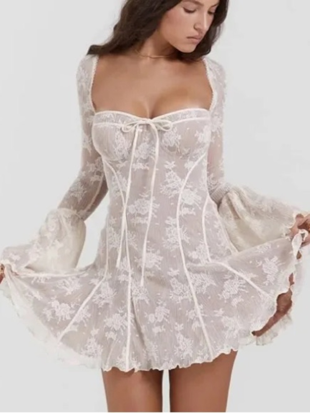 Sheer Lace Long Sleeve Dress